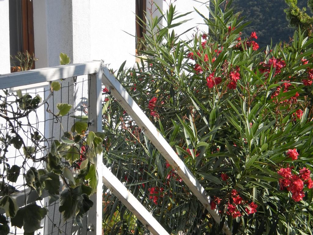 Apartment Haldej Moscenicka Draga Phòng bức ảnh